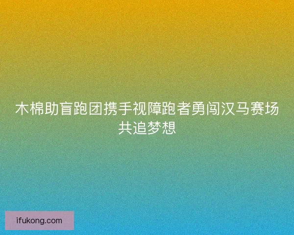 木棉助盲跑团携手视障跑者勇闯汉马赛场共追梦想