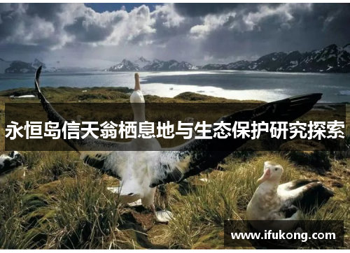 永恒岛信天翁栖息地与生态保护研究探索