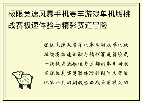 极限竞速风暴手机赛车游戏单机版挑战赛极速体验与精彩赛道冒险